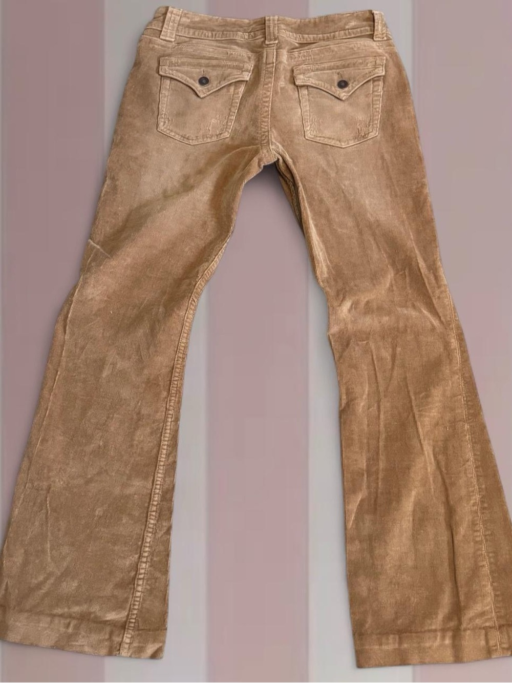 Bluenotes Tan Corduroy Y2K Pants
